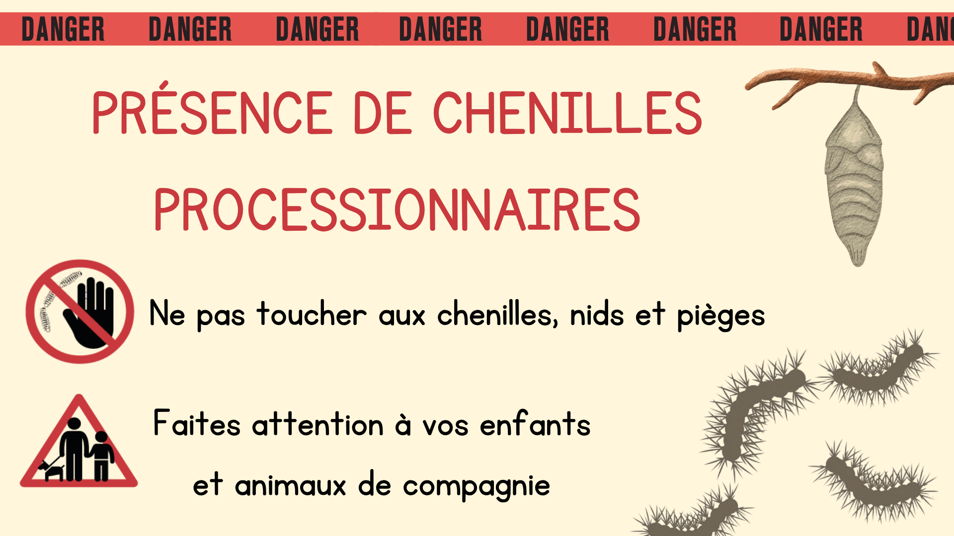 CHENILLES PROCESSIONNAIRES